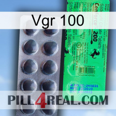 Vgr 100 new04